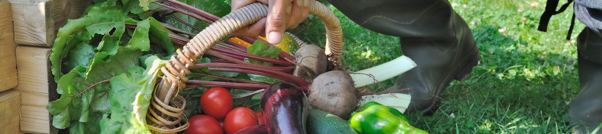 fruits et légumes frais groupe estivin